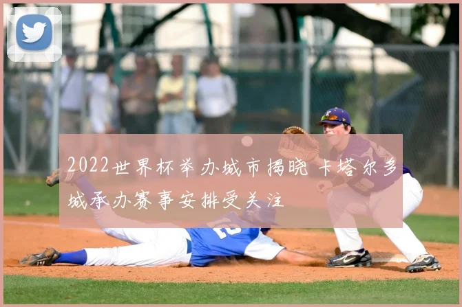 2022世界杯举办城市揭晓 卡塔尔多城承办赛事安排受关注