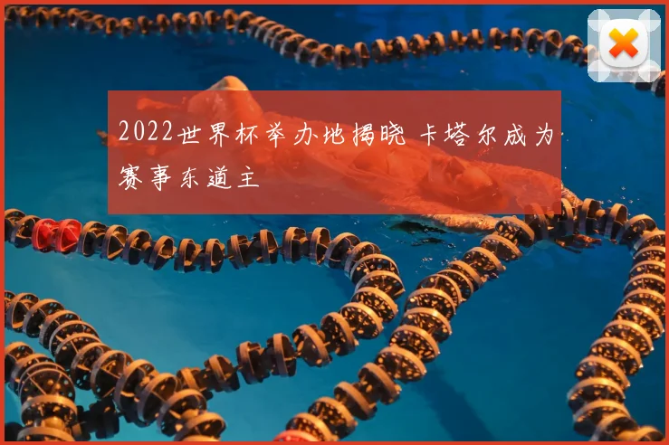 2022世界杯举办地揭晓 卡塔尔成为赛事东道主
